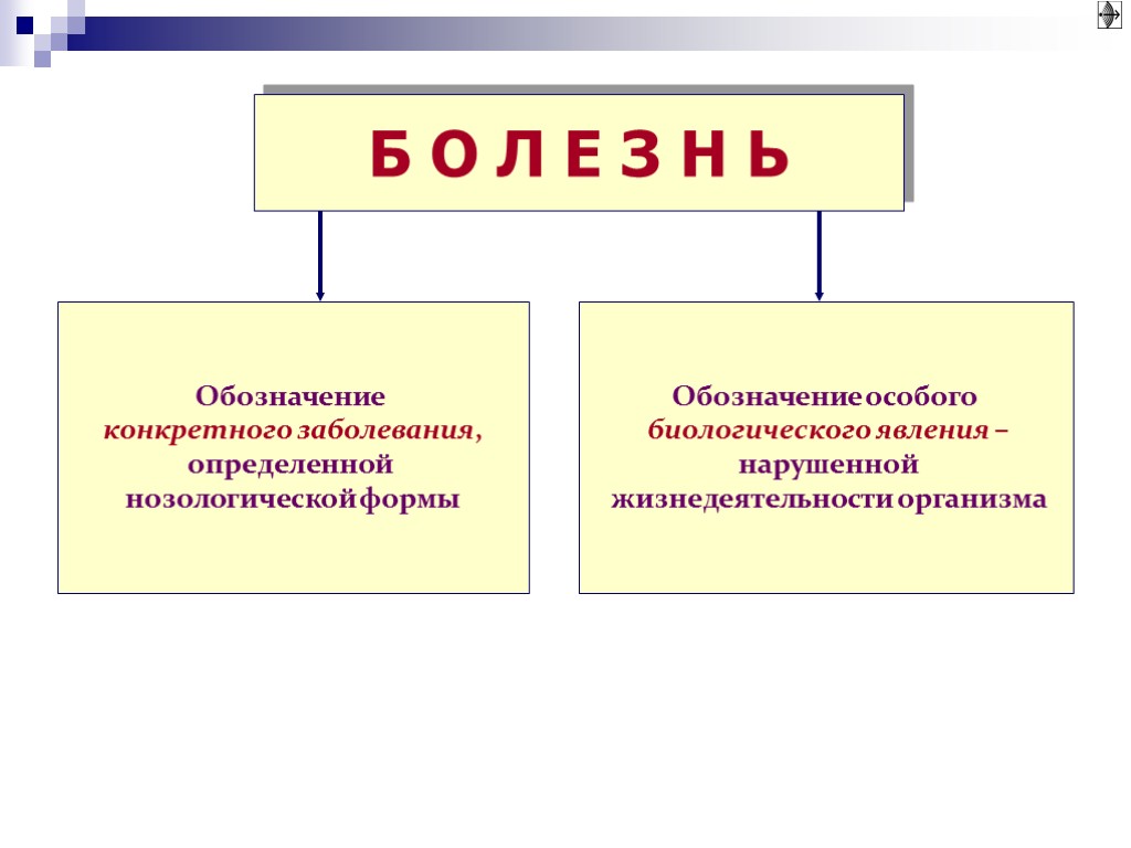 Основные нозологии