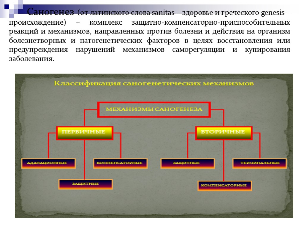 Саногенез