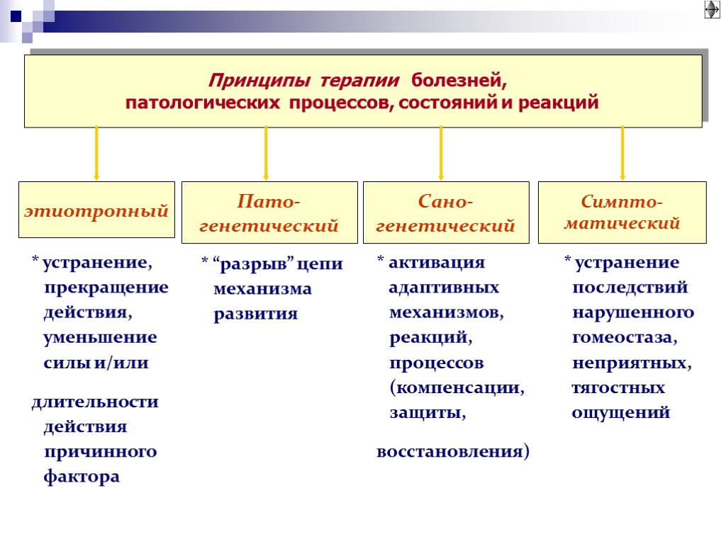 Основные принципы лечения