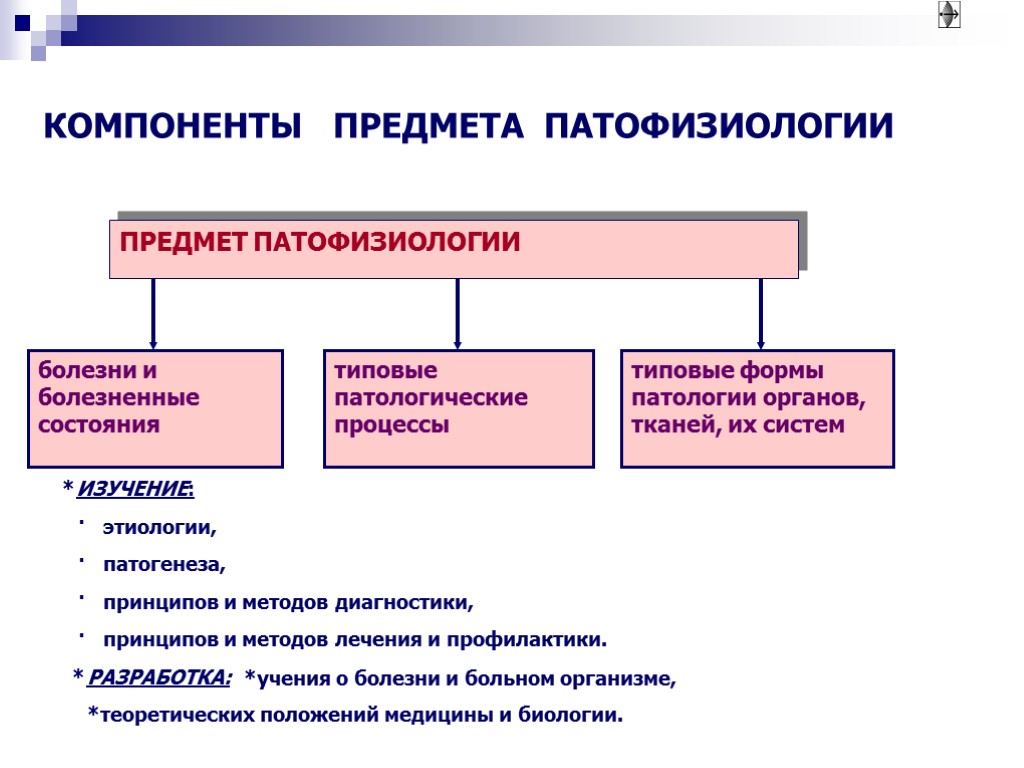 Компоненты предметов. Патофизиология основные понятия. Общая этиология патофизиология. Общая нозология общая этиология. Основные понятия общей нозологии патофизиология.