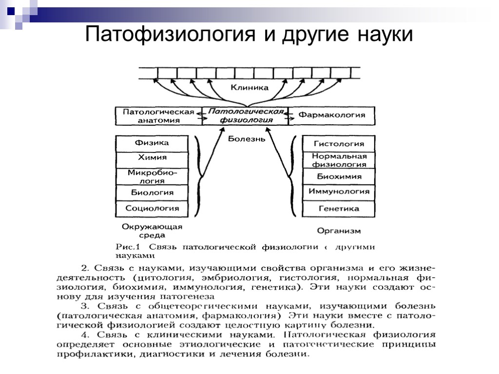 Патологии физиология. Взаимосвязь патофизиологии с другими дисциплинами. Патологическая физиология связь с другими науками. Связь патофизиологии с другими науками. Взаимосвязь физиологии с другими науками.