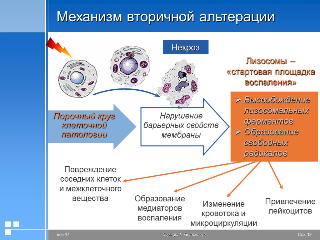 Повреждение клетки патофизиология презентация