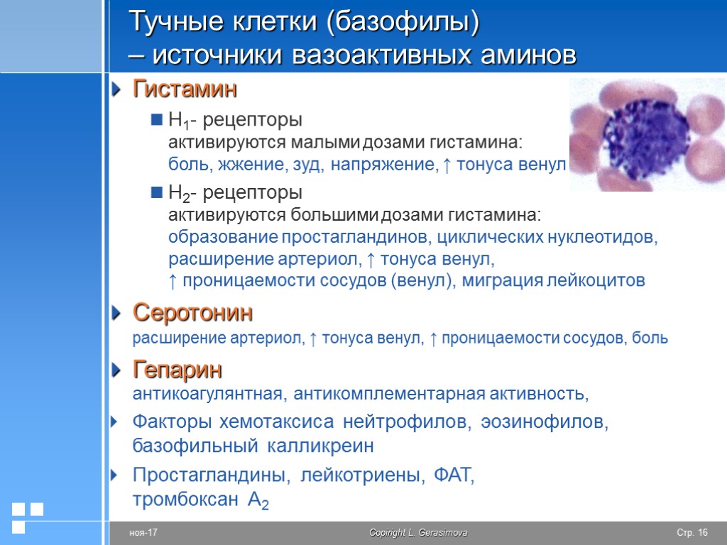 Тучные клетки воспаления. Рецепторы тучных клеток. Тучные клетки гистамин. Тучные клетки воспаление. Рецепторы базофилов.