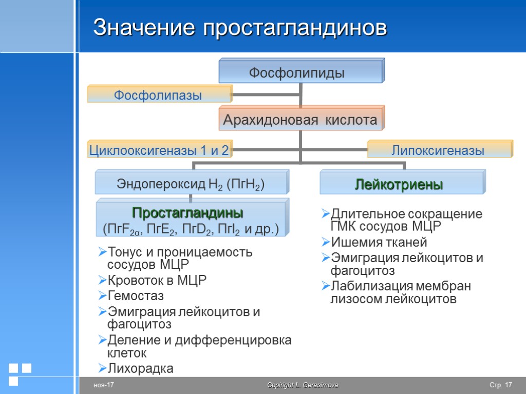 >Значение простагландинов Тонус и проницаемость сосудов МЦР Кровоток в МЦР Гемостаз Эмиграция лейкоцитов и