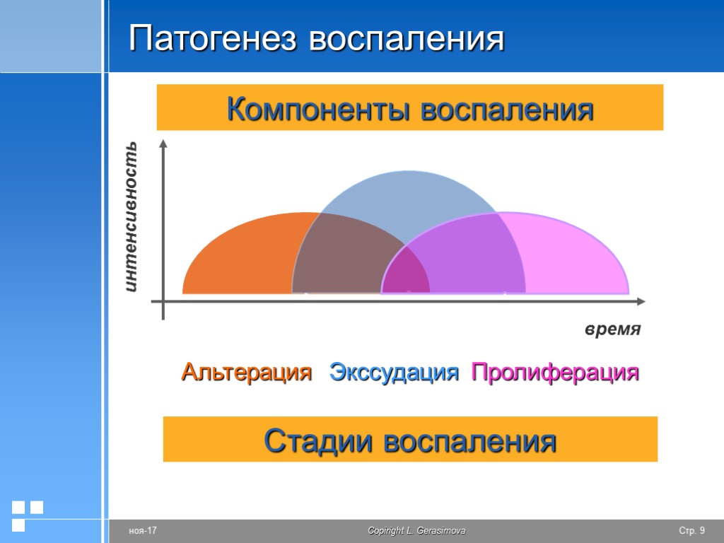 Стадии фазы воспаления. Патогенез альтерации воспаления патофизиология. Пльтераци эксудация пролифераци. Стадия альтерации при воспалении. Альтерация пролиферация экс.