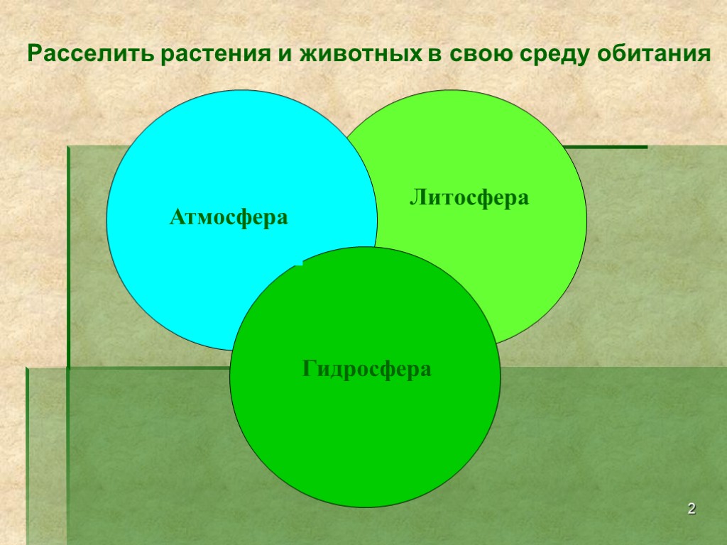 Гидросфера среда обитания. Живые участники круговорота веществ. Участники круговорота веществ. Растения гидросферы. Круговорот веществ в литосфере.