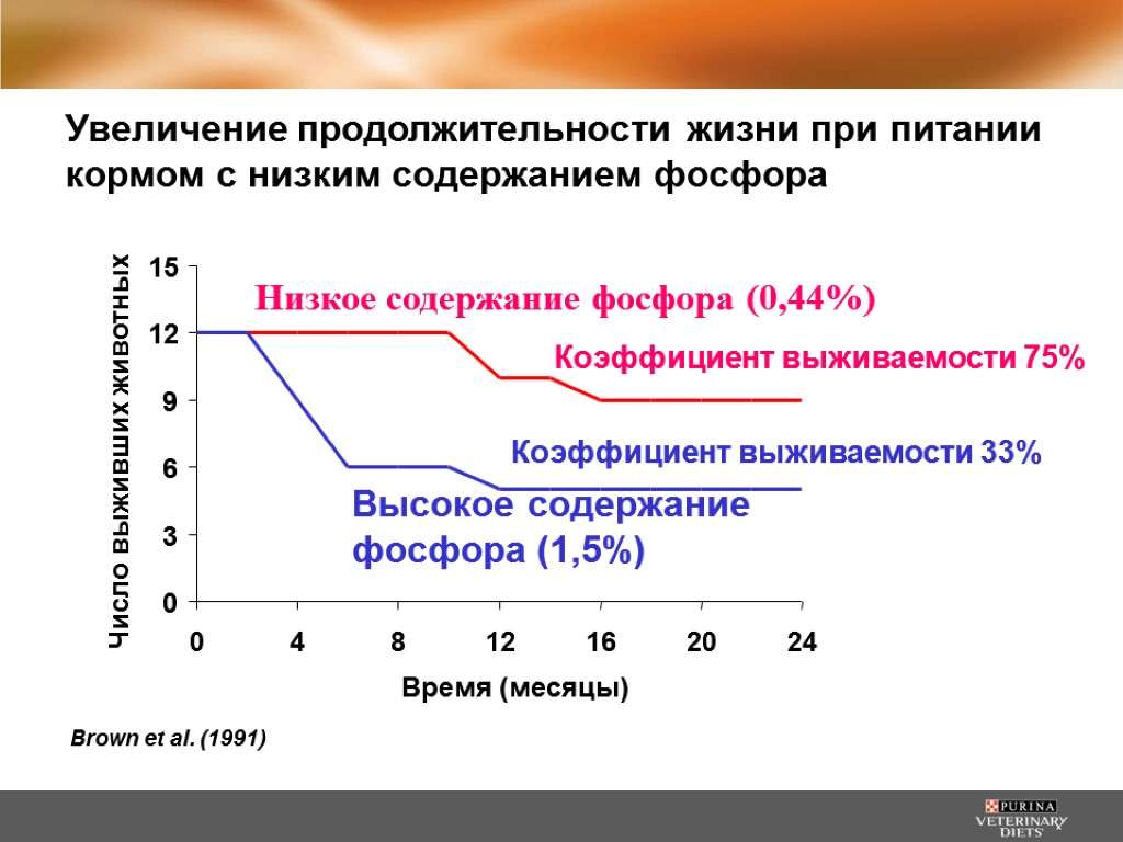 Увеличение продолжительности полового акта. Увеличение продолжительности жизни. Увеличение продолжительности жизни картинка. Как увеличить Продолжительность жизни.