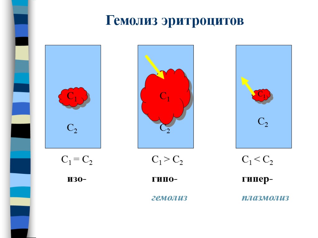 Где происходит окончательное различение изображения