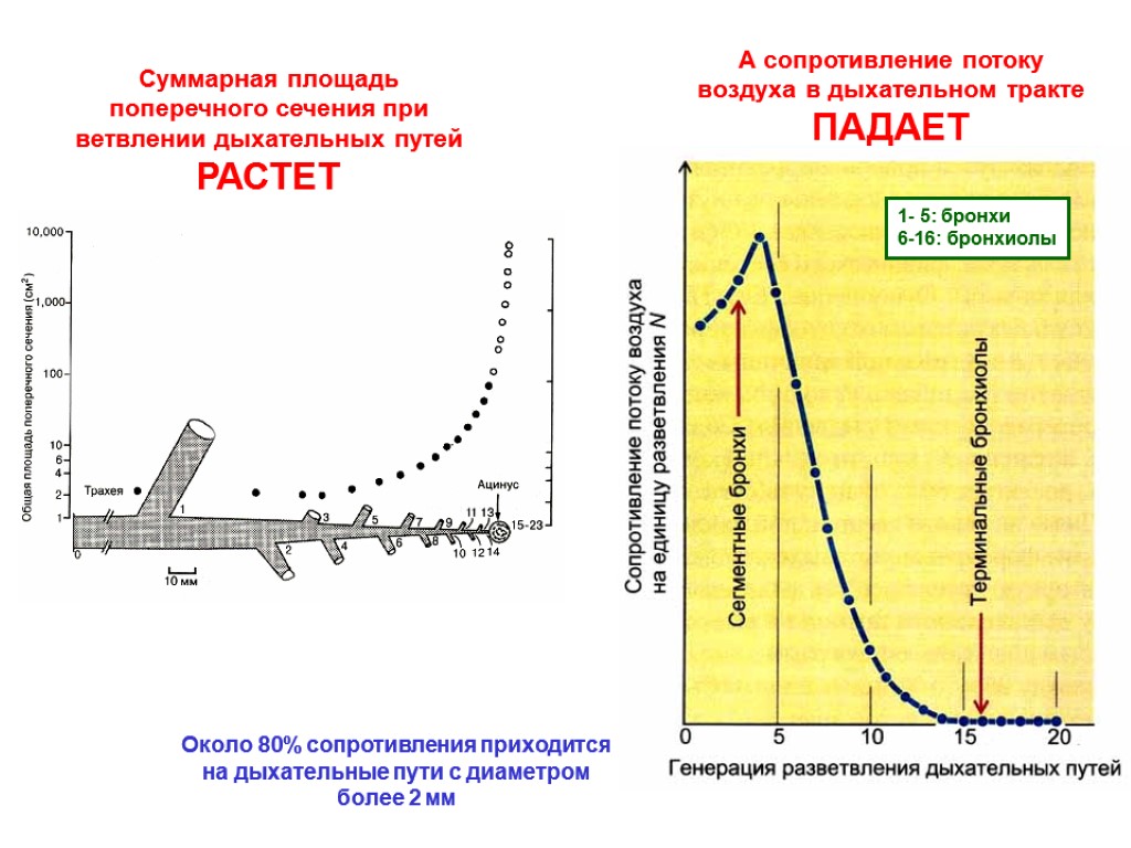 Сопротивление потоку