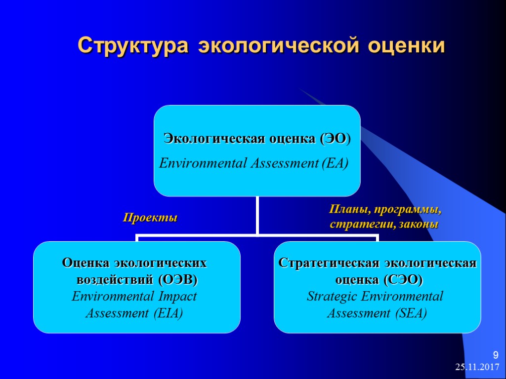 Проект экологическая оценка