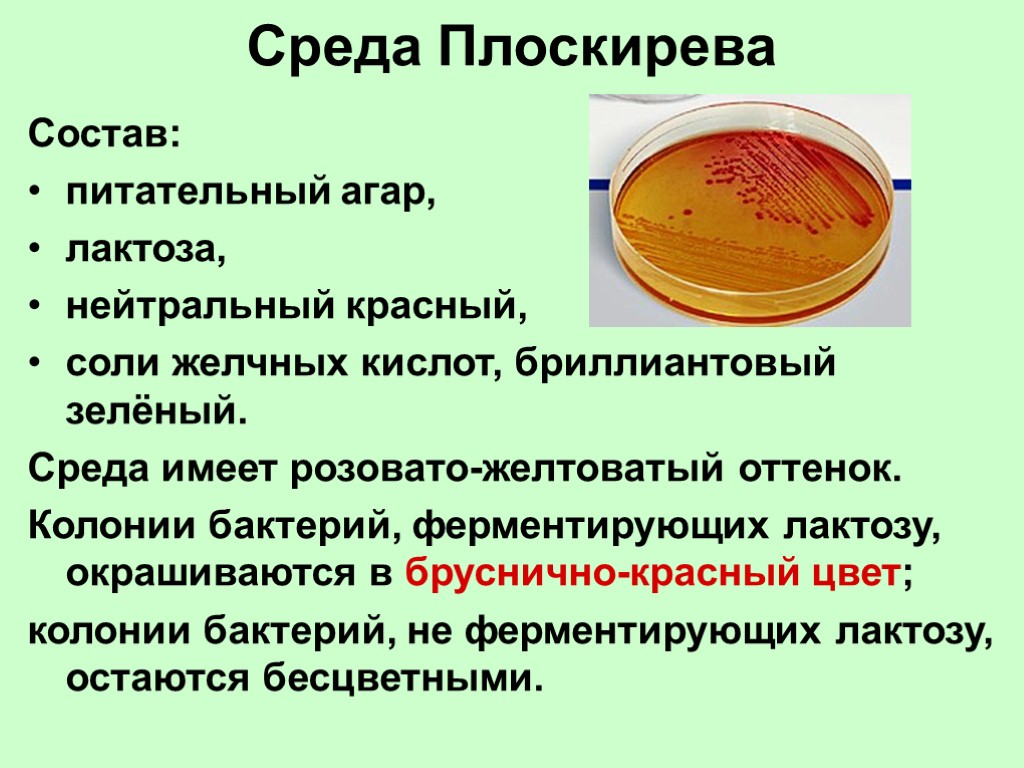 Мясной бульон как питательная среда