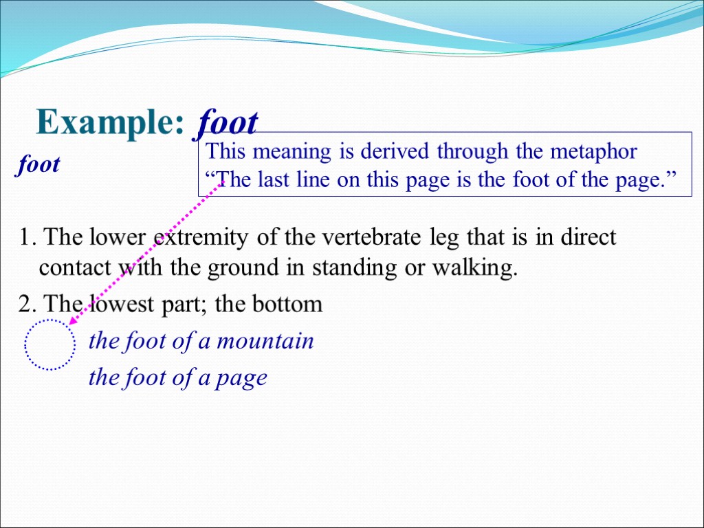 >Example: foot foot 1. The lower extremity of the vertebrate leg that is in