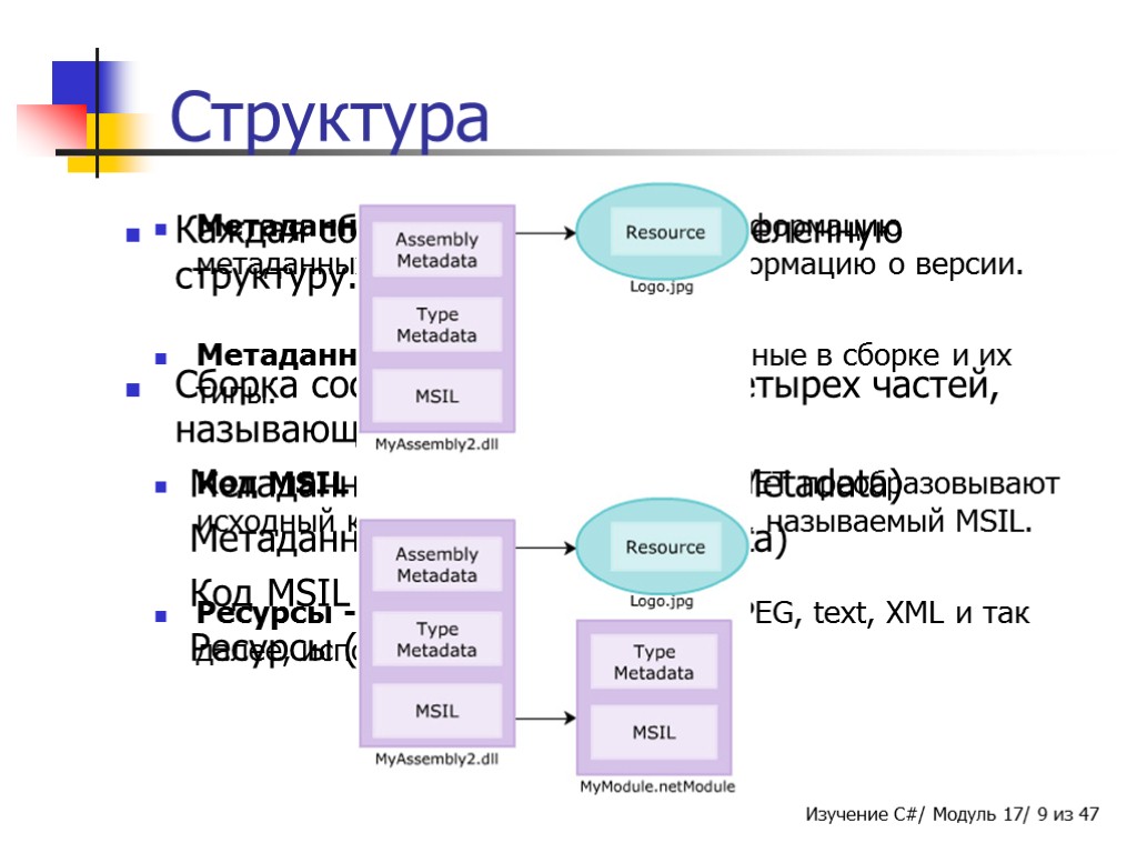 Метаданные