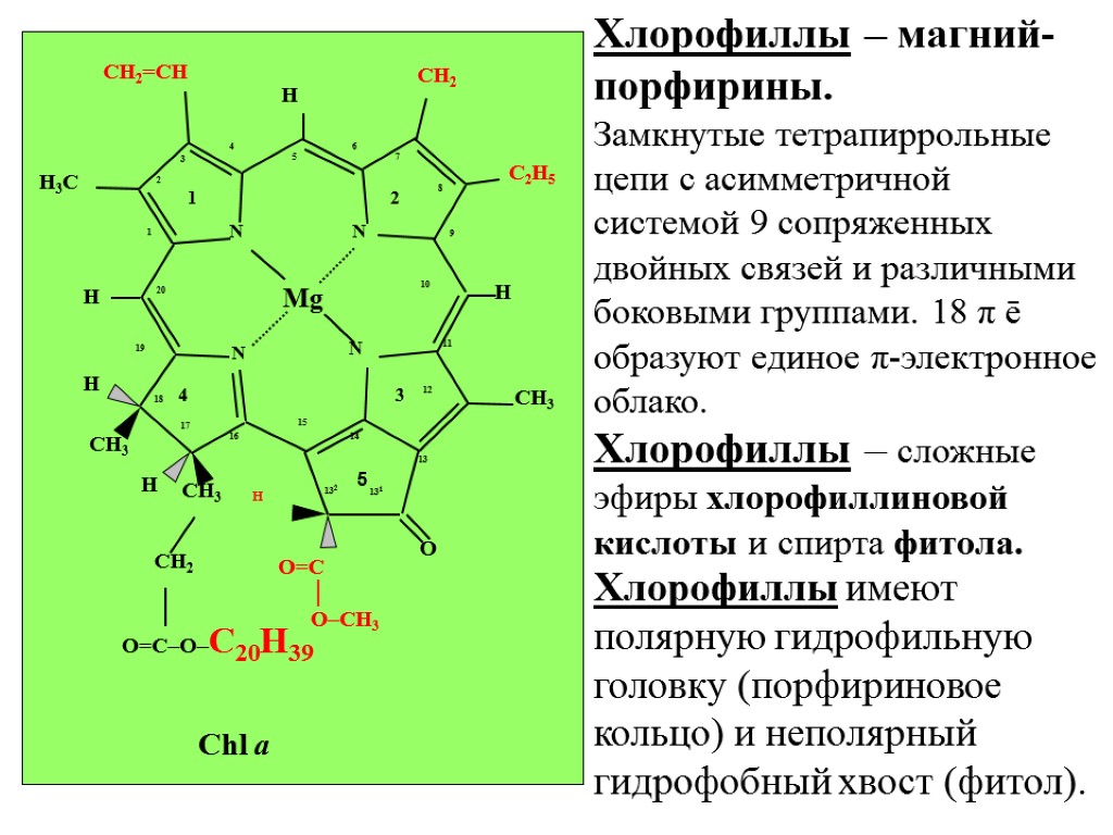 Электрон молекулы хлорофилла