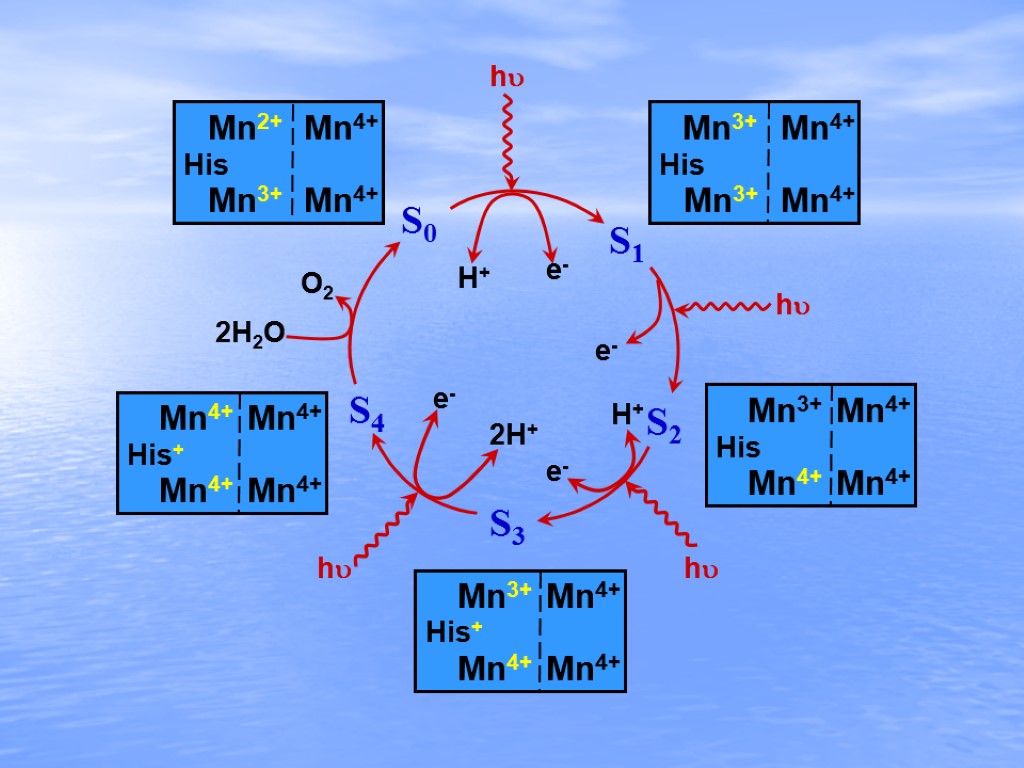 Mn h2o. Строение mn2+. Mn2+. MN 3+ +h2o. Mn3+ конфигурация.