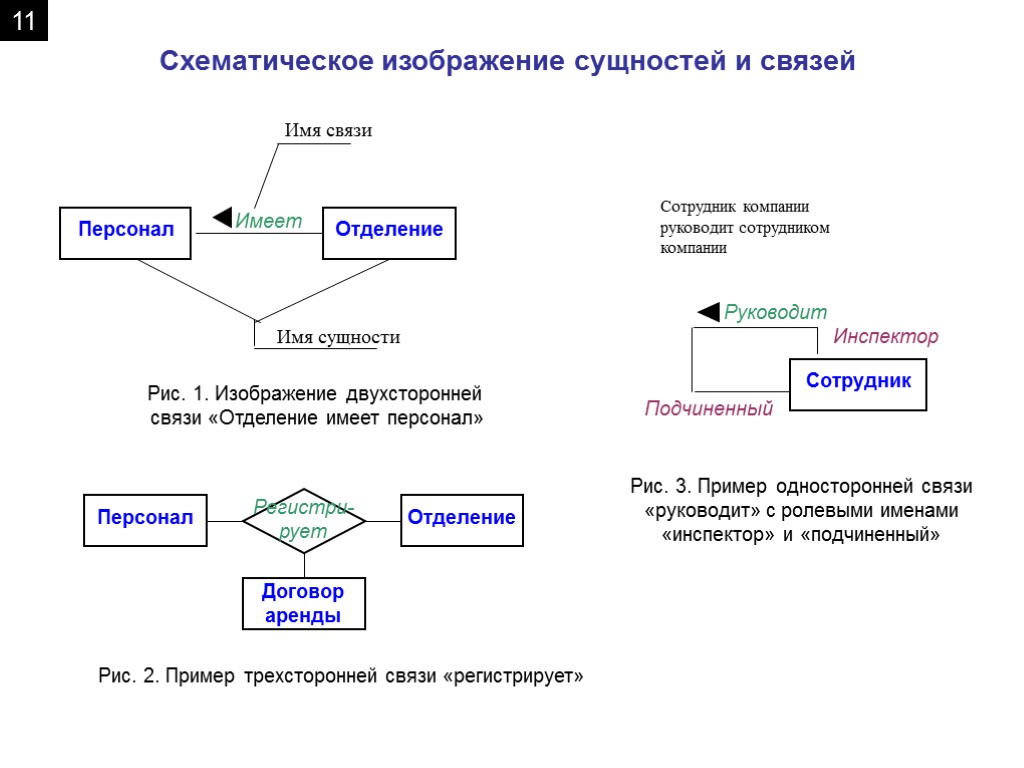 Презентация жизненный цикл базы данных