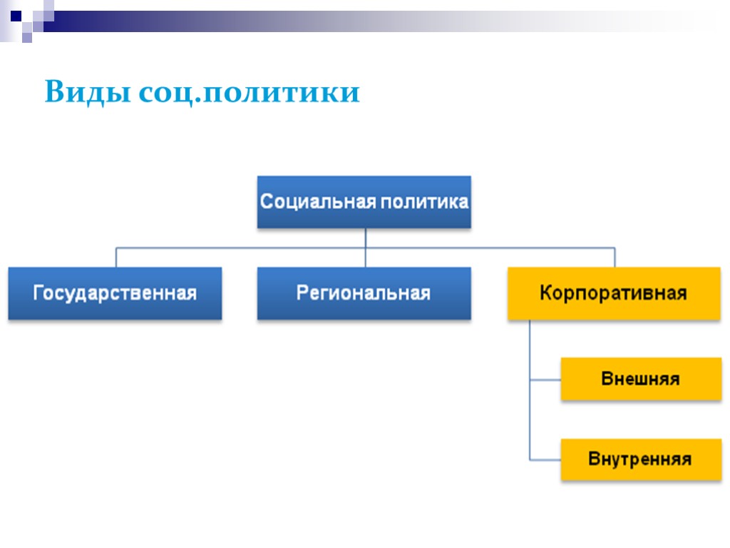 >Виды соц.политики