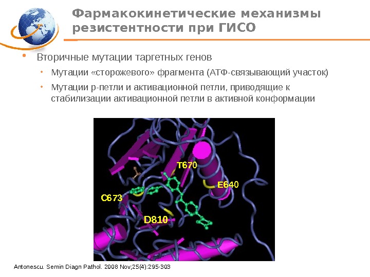  •  Вторичные мутации таргетных генов  • Мутации «сторожевого» фрагмента ( АТФ-связывающий участок )