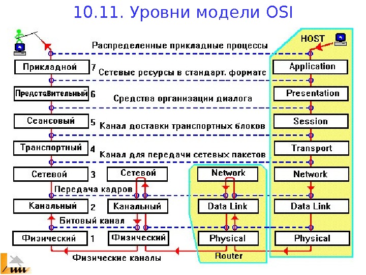 10. 11. Уровни модели OSI 