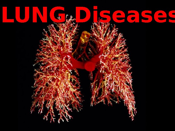 LUNG Diseases 