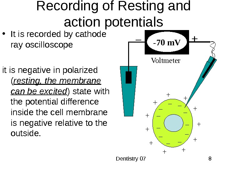  Dentistry 07 8 • It is recorded by cathode ray oscilloscope it is negative in