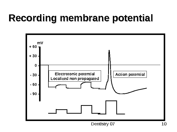  Dentistry 07 10 Recording membrane potential + 60 - + 30 - - 60 -