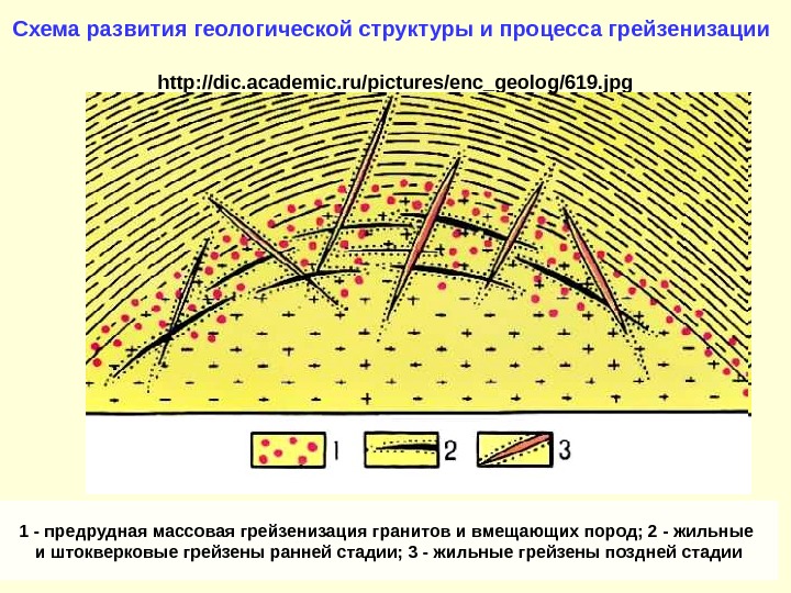 Cхема развития геологической структуры и процесса грейзенизации http: //dic. academic. ru/pictures/enc_geolog/619. jpg 1 - предрудная массовая