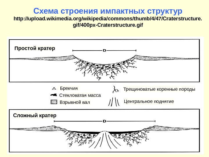 Схема строения импактных структур http: //upload. wikimedia. org/wikipedia/commons/thumb/4/47/Craterstructure. gif/400 px-Craterstructure. gif Простой кратер Сложный кратер Брекчия