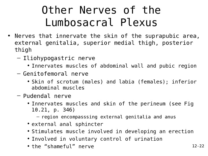 12 - 22 Other Nerves of the Lumbosacral Plexus • Nerves that innervate the skin of