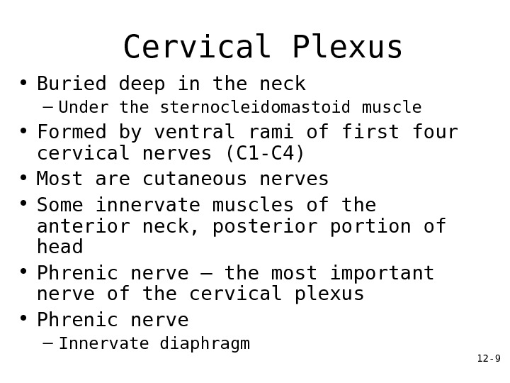 12 - 9 Cervical Plexus • Buried deep in the neck – Under the sternocleidomastoid muscle