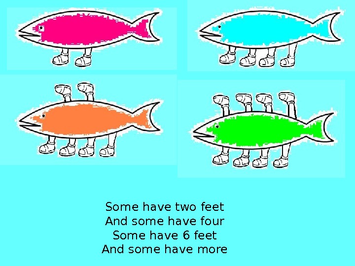   Some have two feet And some have four Some have 6 feet And some