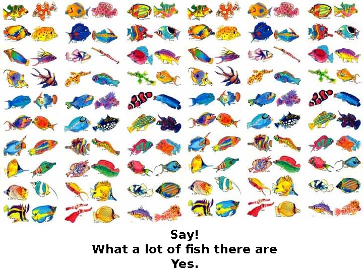   Say! What a lot of fish there are Yes.  