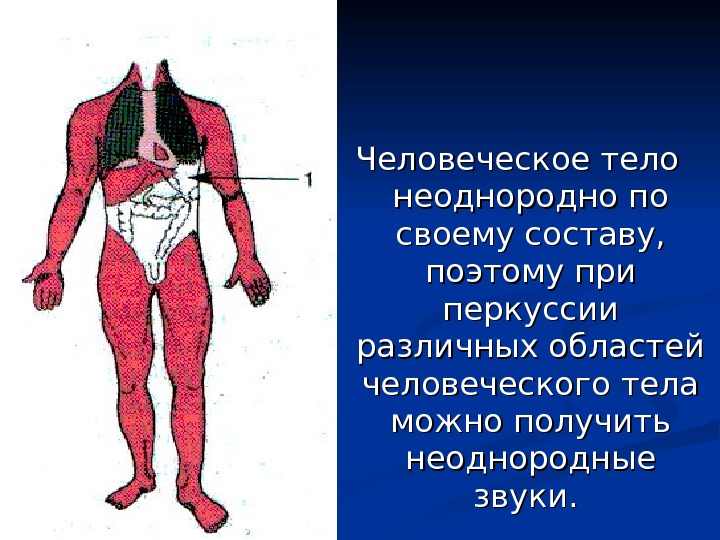 Человеческое тело неоднородно по своему составу,  поэтому при перкуссии различных областей человеческого тела можно получить
