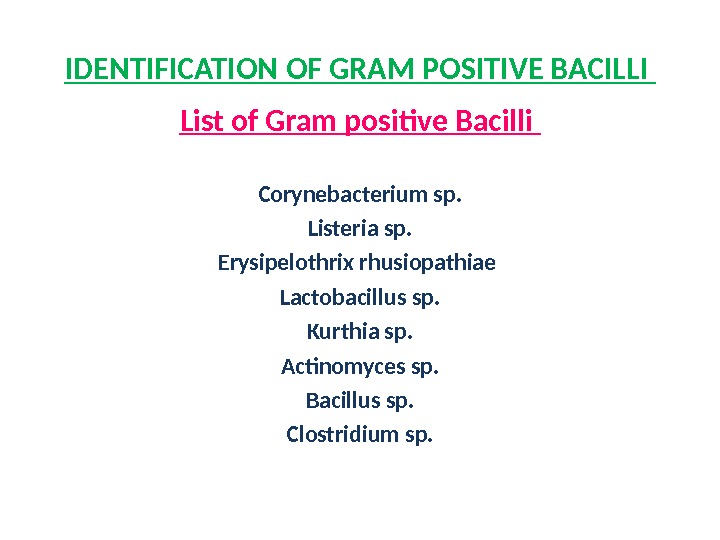 IDENTIFICATION OF GRAM POSITIVE BACILLI List of Gram positive Bacilli Corynebacterium sp. Listeria sp. Erysipelothrix rhusiopathiae