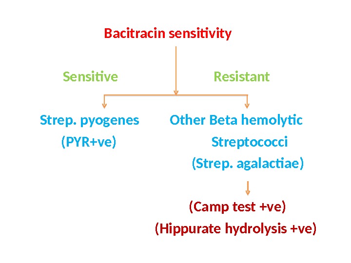 Bacitracin sensitivity   Sensitive     Resistant  Strep. pyogenes   Other