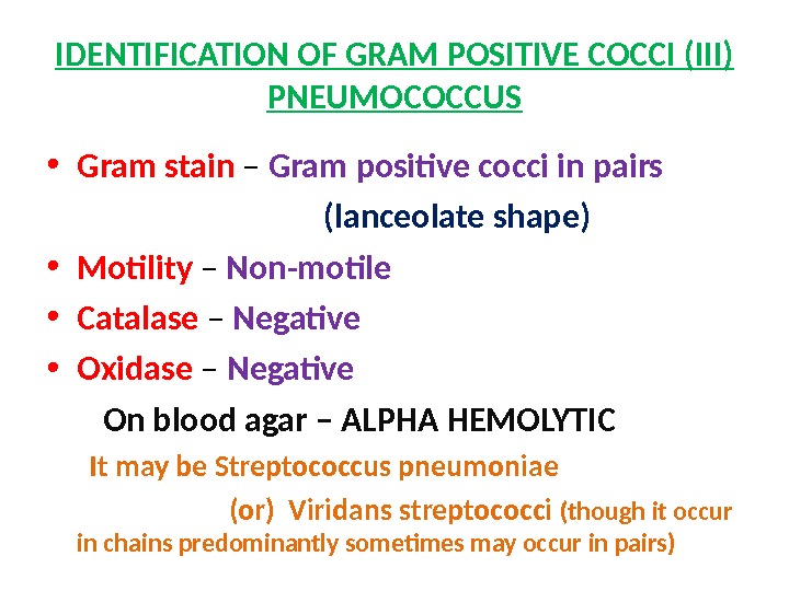 IDENTIFICATION OF GRAM POSITIVE COCCI (III) PNEUMOCOCCUS • Gram stain – Gram positive cocci in pairs