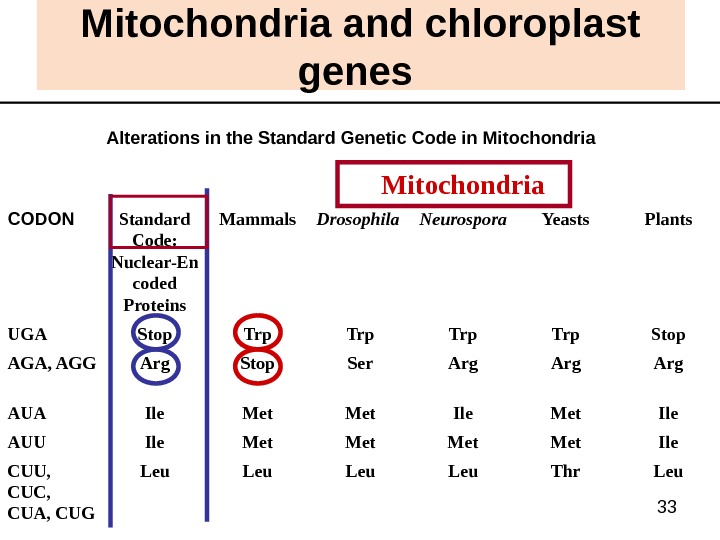 33 Mitochondria and chloroplast genes  Alterations in the Standard Genetic Code in Mitochondria  Leu.