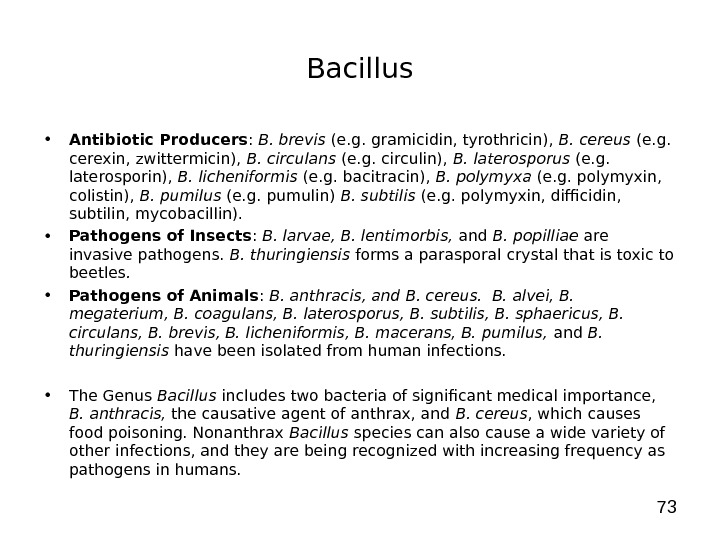 73 Bacillus • Antibiotic Producers :  B. brevis (e. g. gramicidin, tyrothricin),  B. cereus