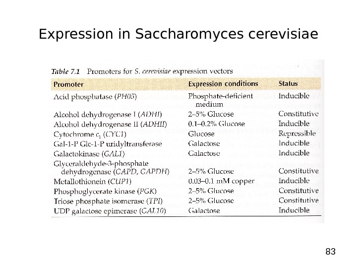 83 Expression in Saccharomyces cerevisiae 