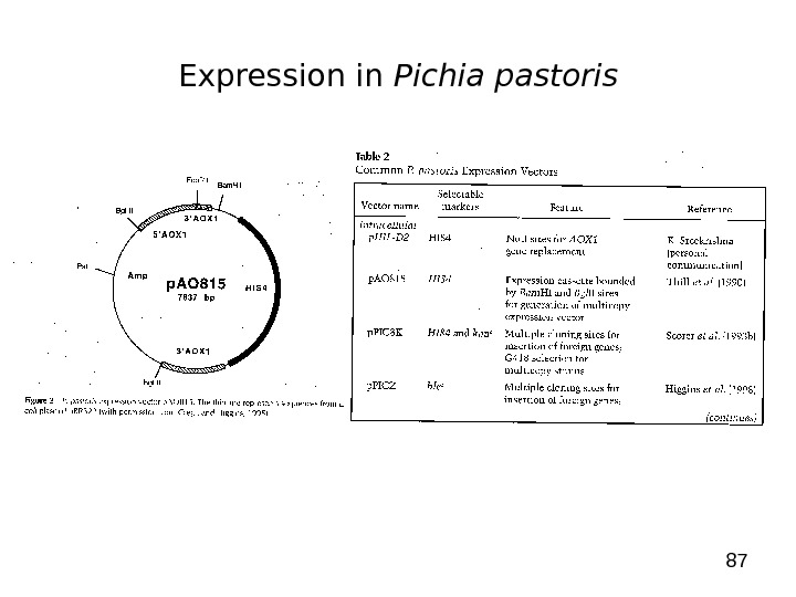 87 Expression in Pichia pastoris 