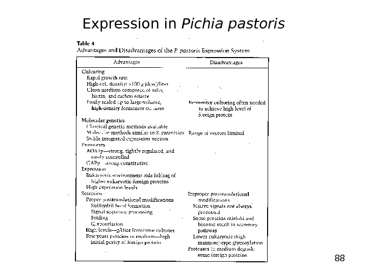 88 Expression in Pichia pastoris 