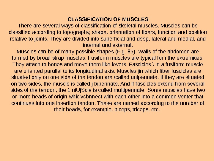 CLASSIFICATION OF MUSCLES There are several ways of classification of skeletal muscles. Muscles can be classified