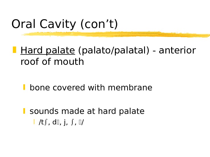   Oral Cavity (con’t) Hard palate (palato/palatal) - anterior roof of mouth bone covered with