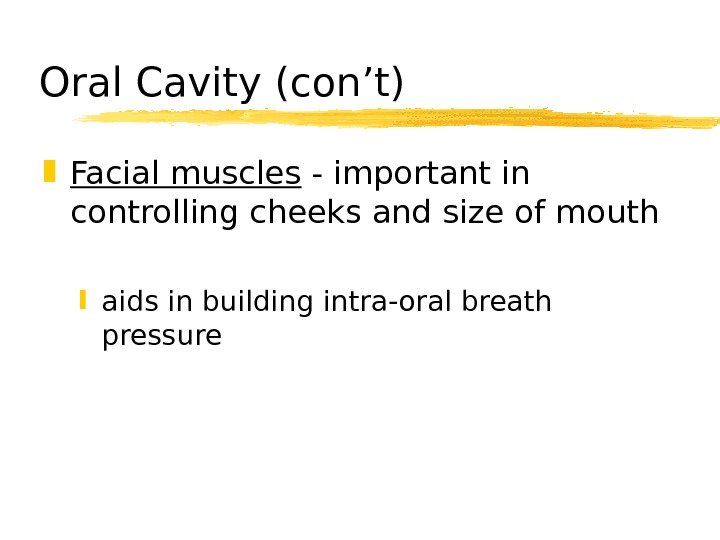   Oral Cavity (con’t) Facial muscles - important in controlling cheeks and size of mouth
