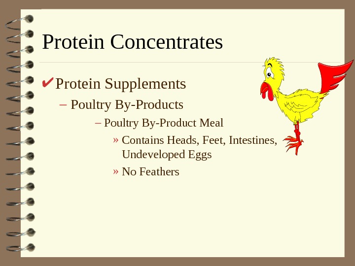   Protein Concentrates Protein Supplements – Poultry By-Product Meal » Contains Heads, Feet, Intestines, 