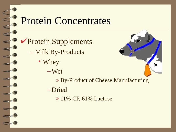   Protein Concentrates Protein Supplements – Milk By-Products • Whey – Wet  » By-Product