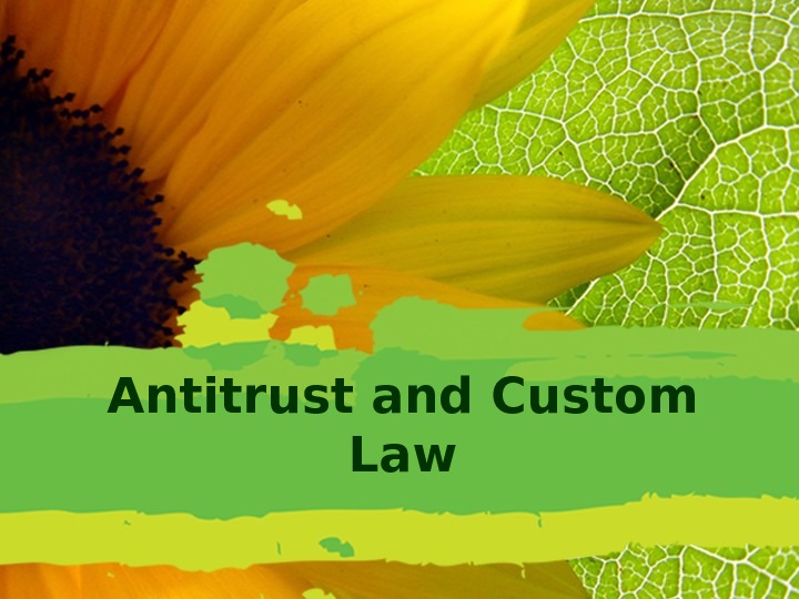 Antitrust and Custom Law 