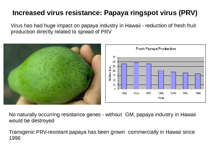   Transgenic PRV-resistant papaya has been grown commercially in Hawaii since 1996 Increased virus resistance: