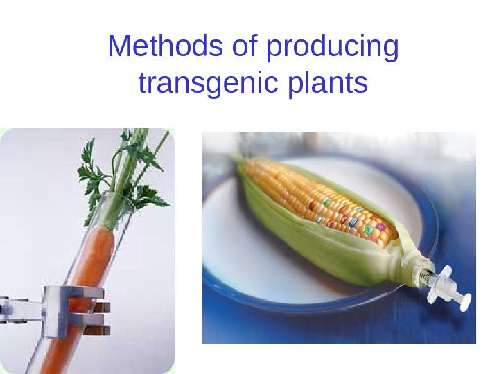   Methods of producing transgenic plants 