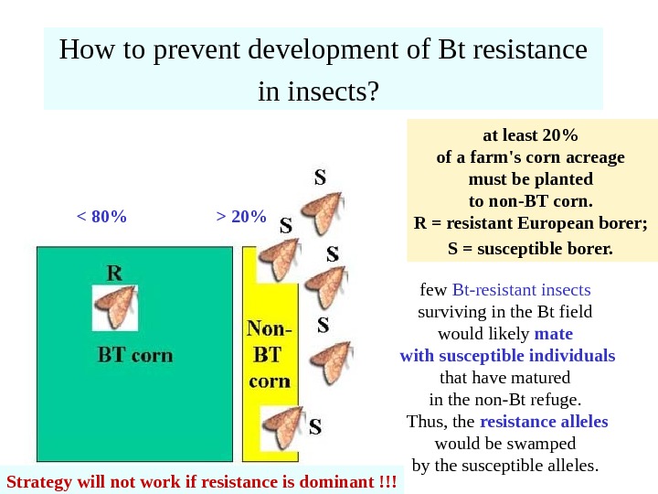   How to prevent development of Bt resistance in insects?  at least 20 of
